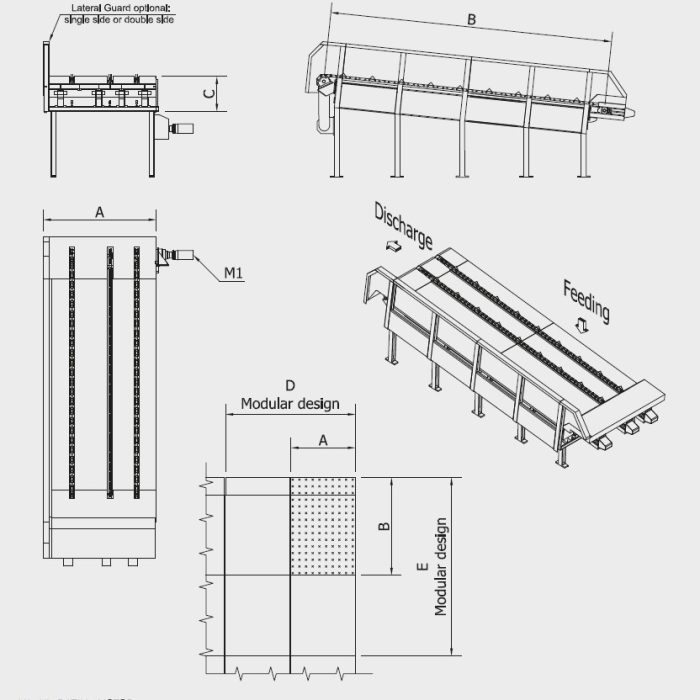 TGC- disegno